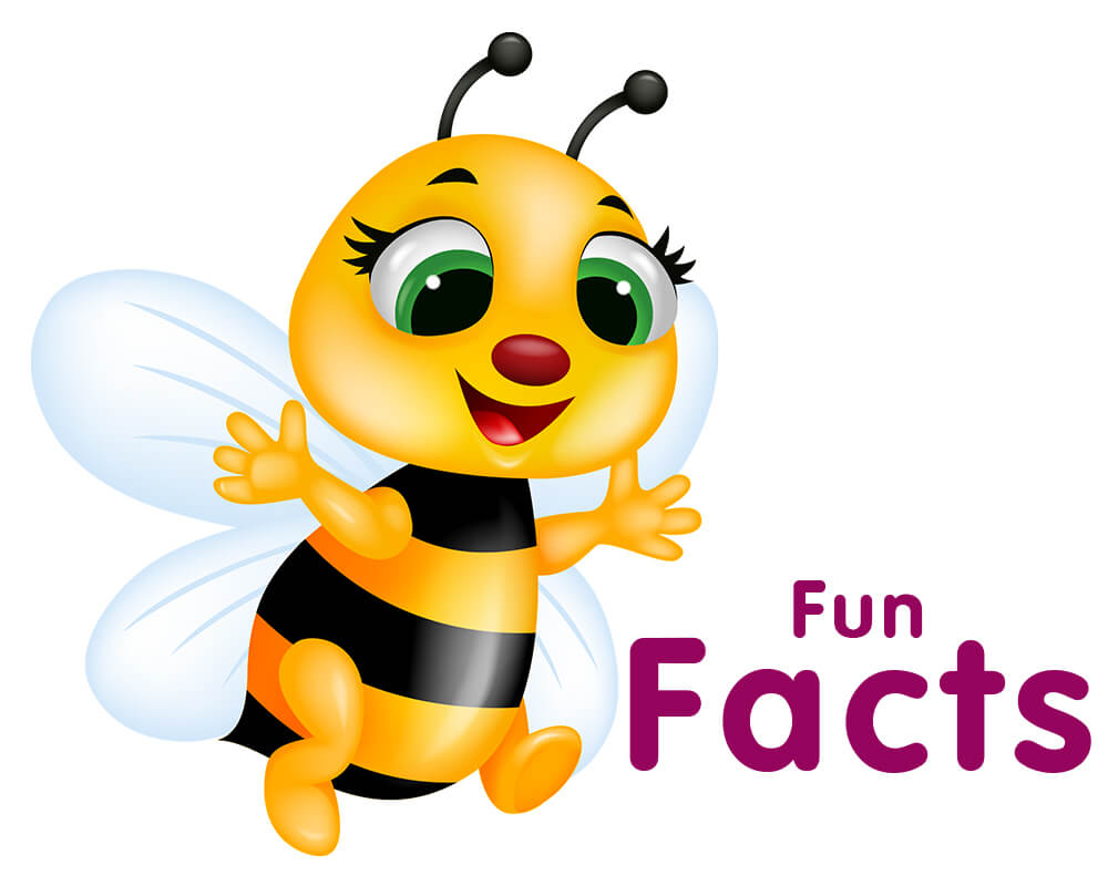 1000x800 Rocket Clipart Amazing Fact