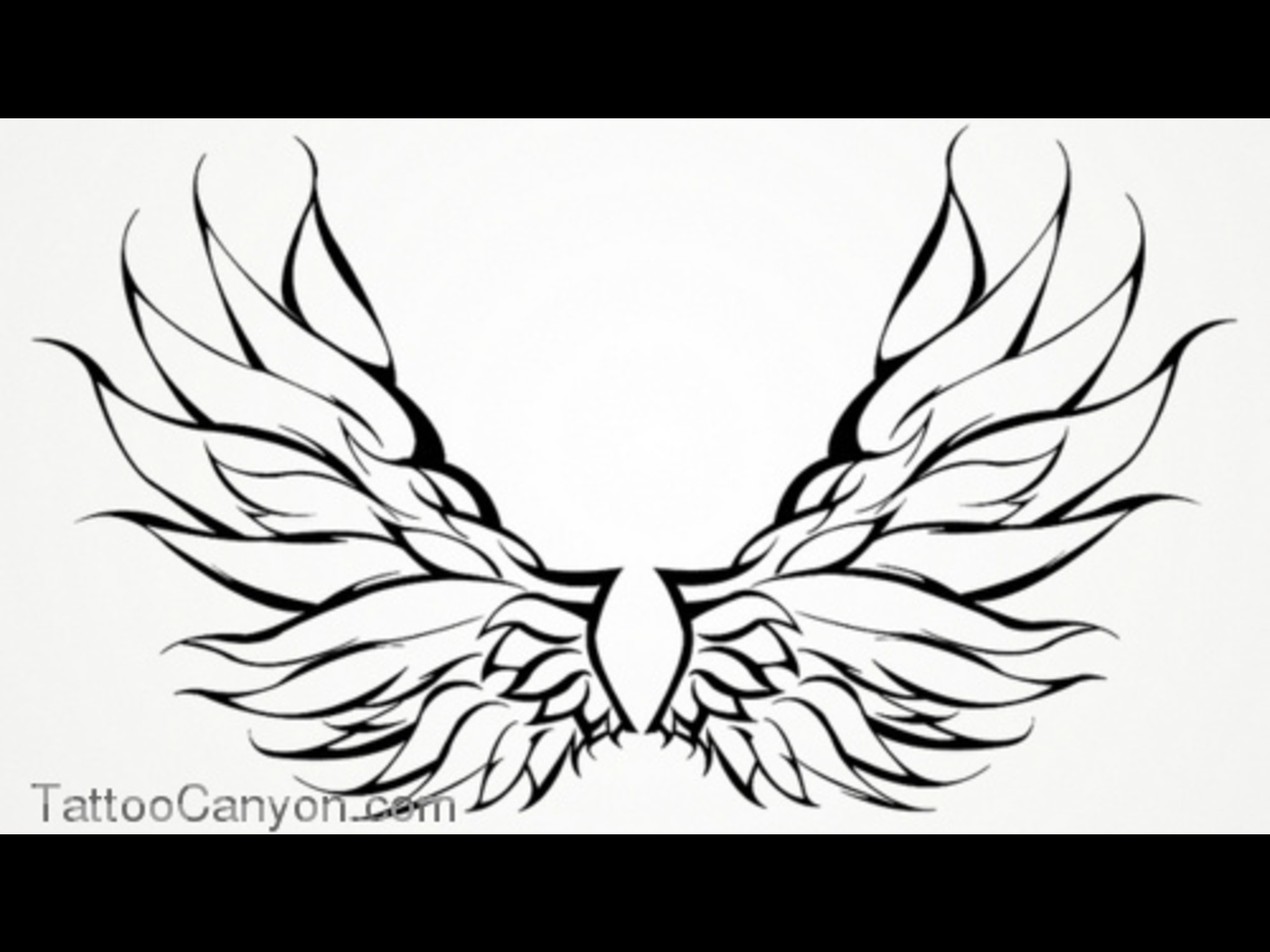 1920x1440 Fairy Wings Outline 10378 Wings Tattoo Angel Tribal Outline Design