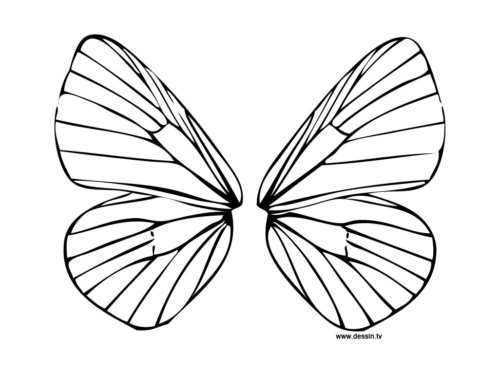 1024x768 Fairy Wings To Colour Diplodocus Para Colorear Fairy Wings