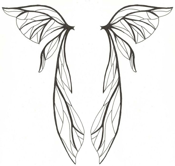 736x699 36 Best Dessin Aile Images Bags, Butterflies