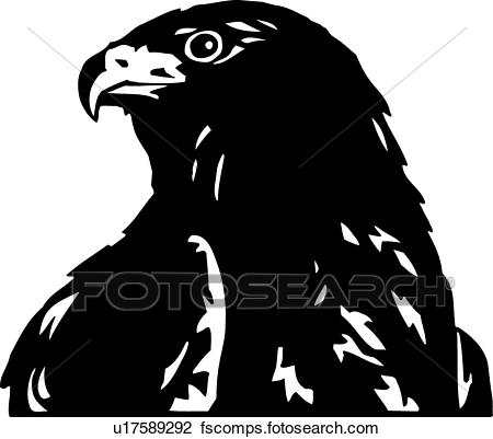 450x401 Clipart Of Falcon U17589292