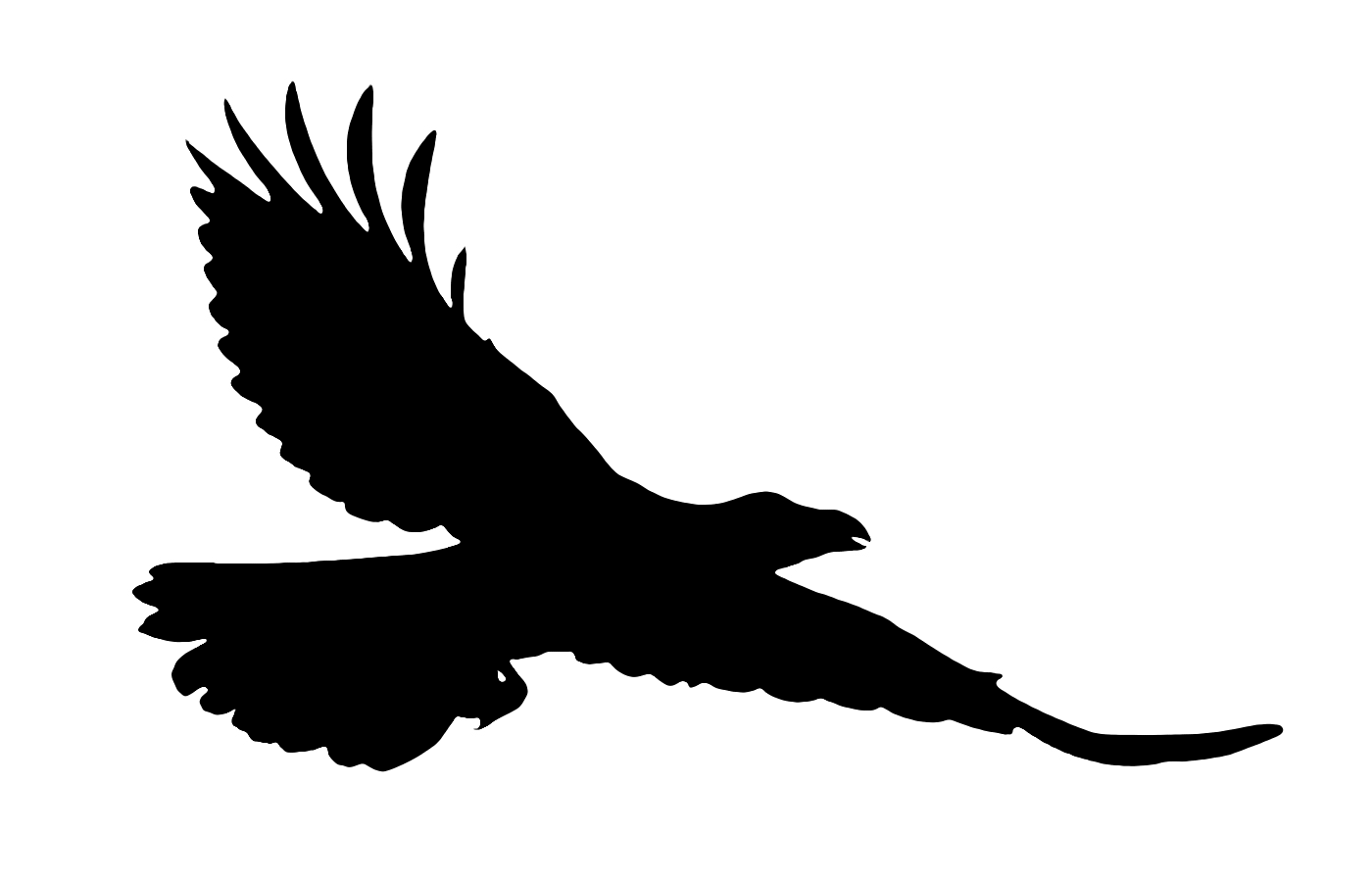 1400x900 Falcon Clipart Raven