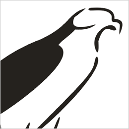 260x260 Hawk Clipart