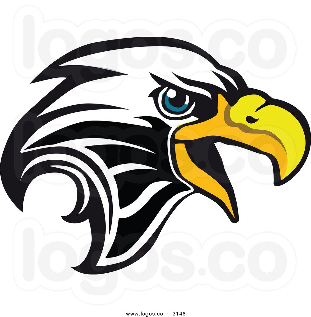 1024x1044 Head Hawk Clipart, Explore Pictures