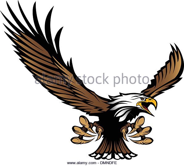 597x540 Talons Stock Vector Images