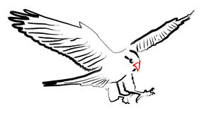 288x160 Falcon Clipart Black And White