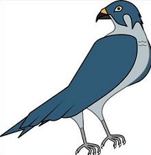 220x226 Top 57 Falcon Clip Art