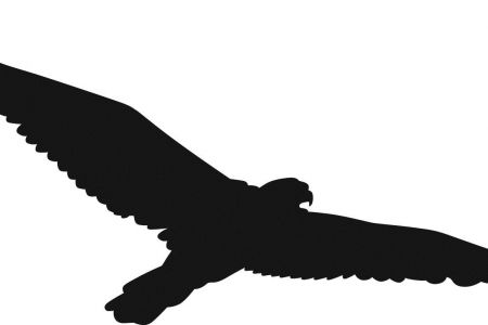 450x300 Hawk Clipart Amp Hawk Clip Art Images