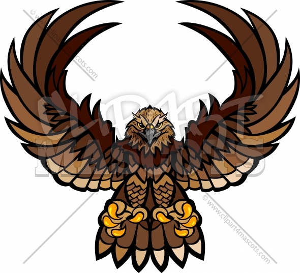 590x537 Falcon Mascot Graphic Vector Logo