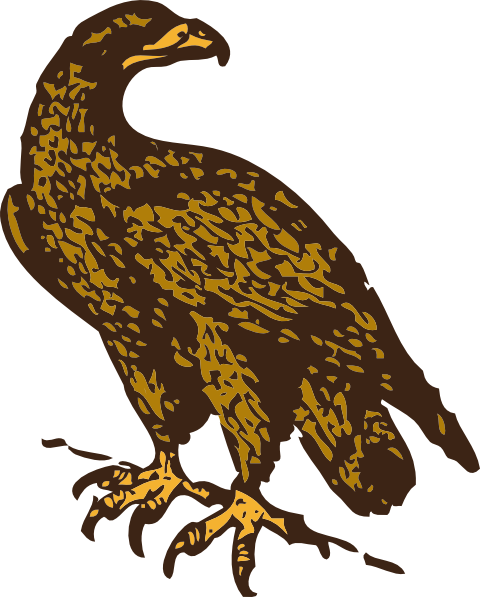 480x597 Golden Eagle Clip Art Free Vector 4vector