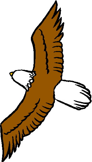 295x520 Top 84 Eagle Clipart