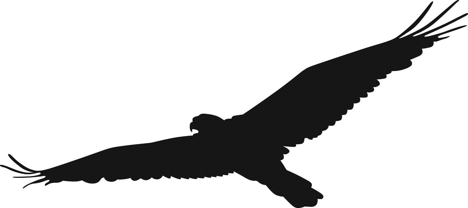1624x724 Top Hawk Clip Art Library