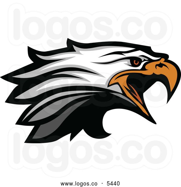 600x620 Golden Eagle Clipart Falcon Football
