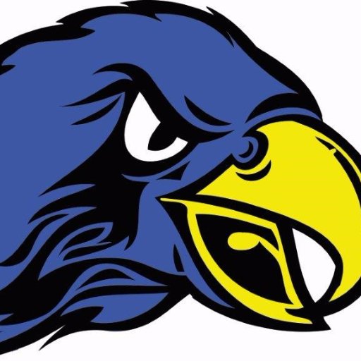 512x512 Os Falcons Football (@osffbc) Twitter