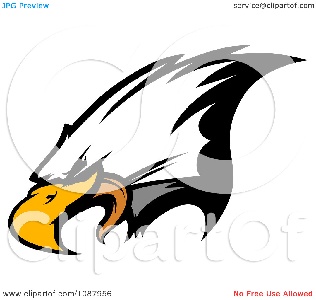 1080x1024 Eagle Head Clip Art Free Clipart Panda