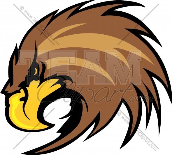 590x533 Falcon Face Clip Art