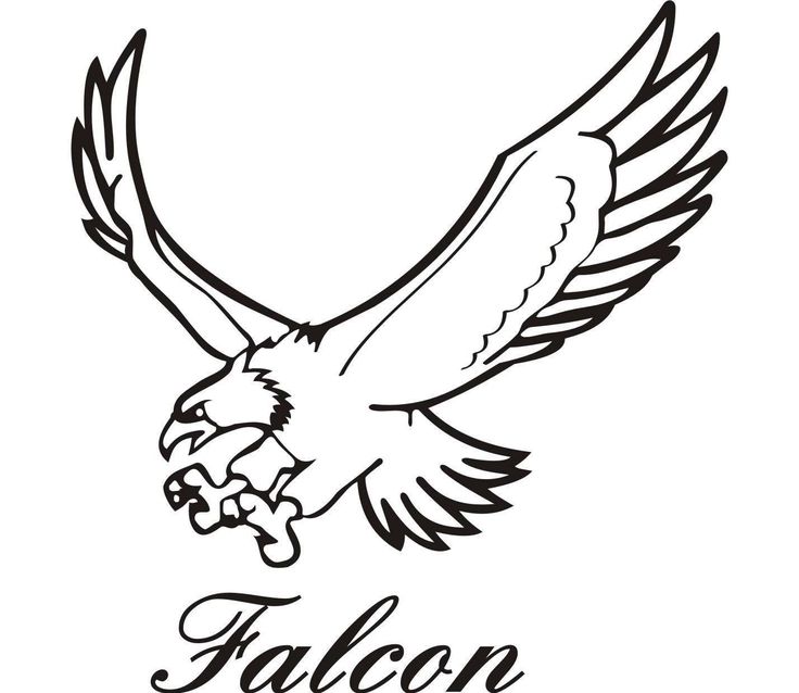 736x638 Peregrine Falcon Clipart Drawing