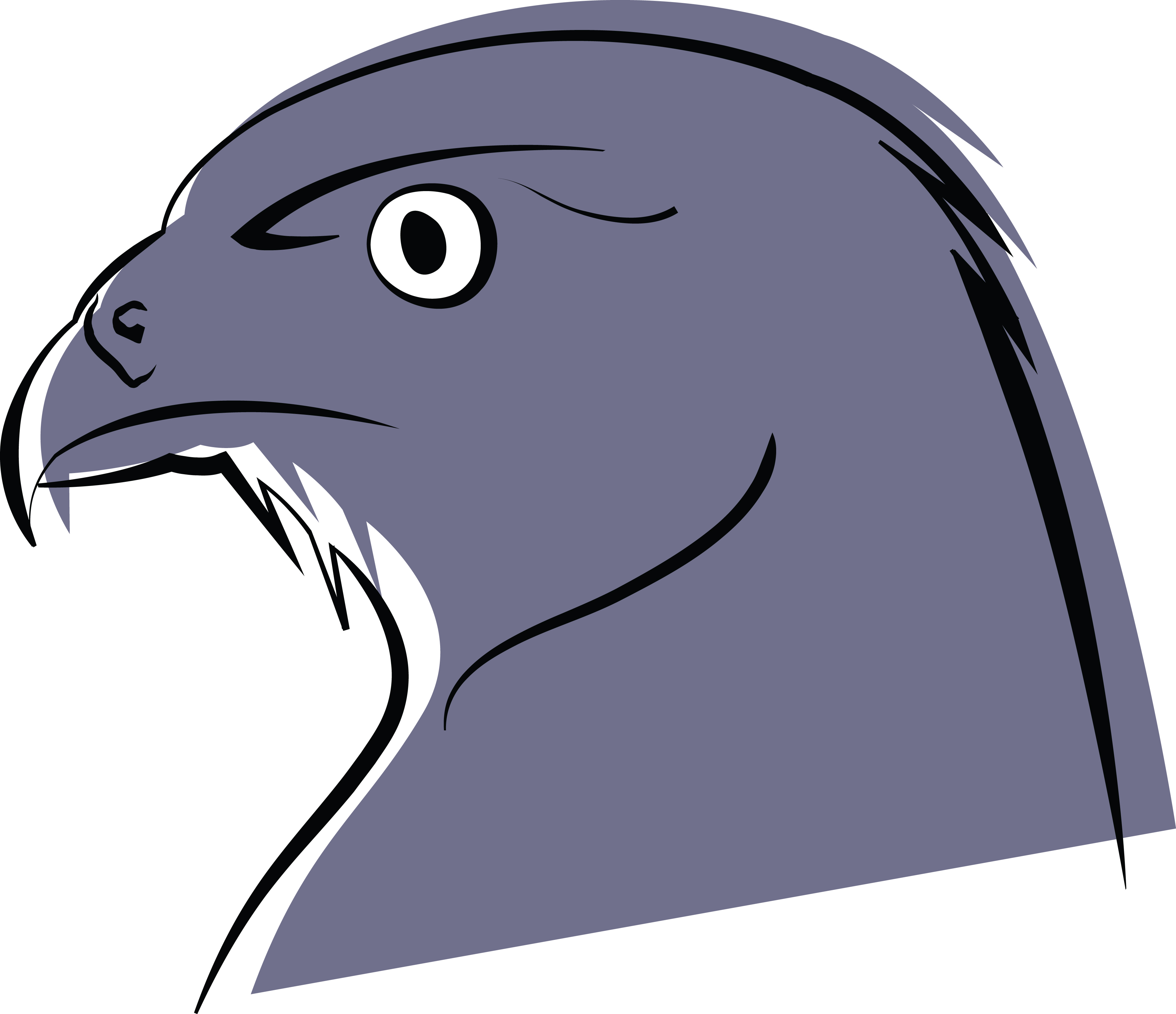 4000x3449 Top 68 Falcon Clip Art