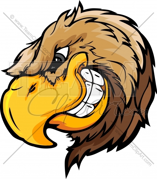 520x590 Cartoon Falcon Clipart Image. Falcon Head Cartoon Mascot Logo Clip Art