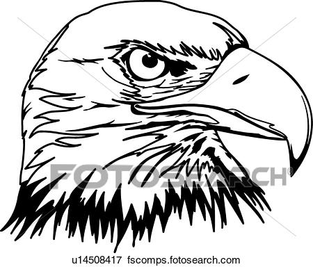 450x384 Clip Art Of Eagle Head U14508417