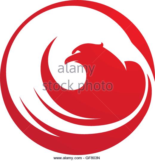 520x540 Falcon Logo Template Stock Photos Amp Falcon Logo Template Stock