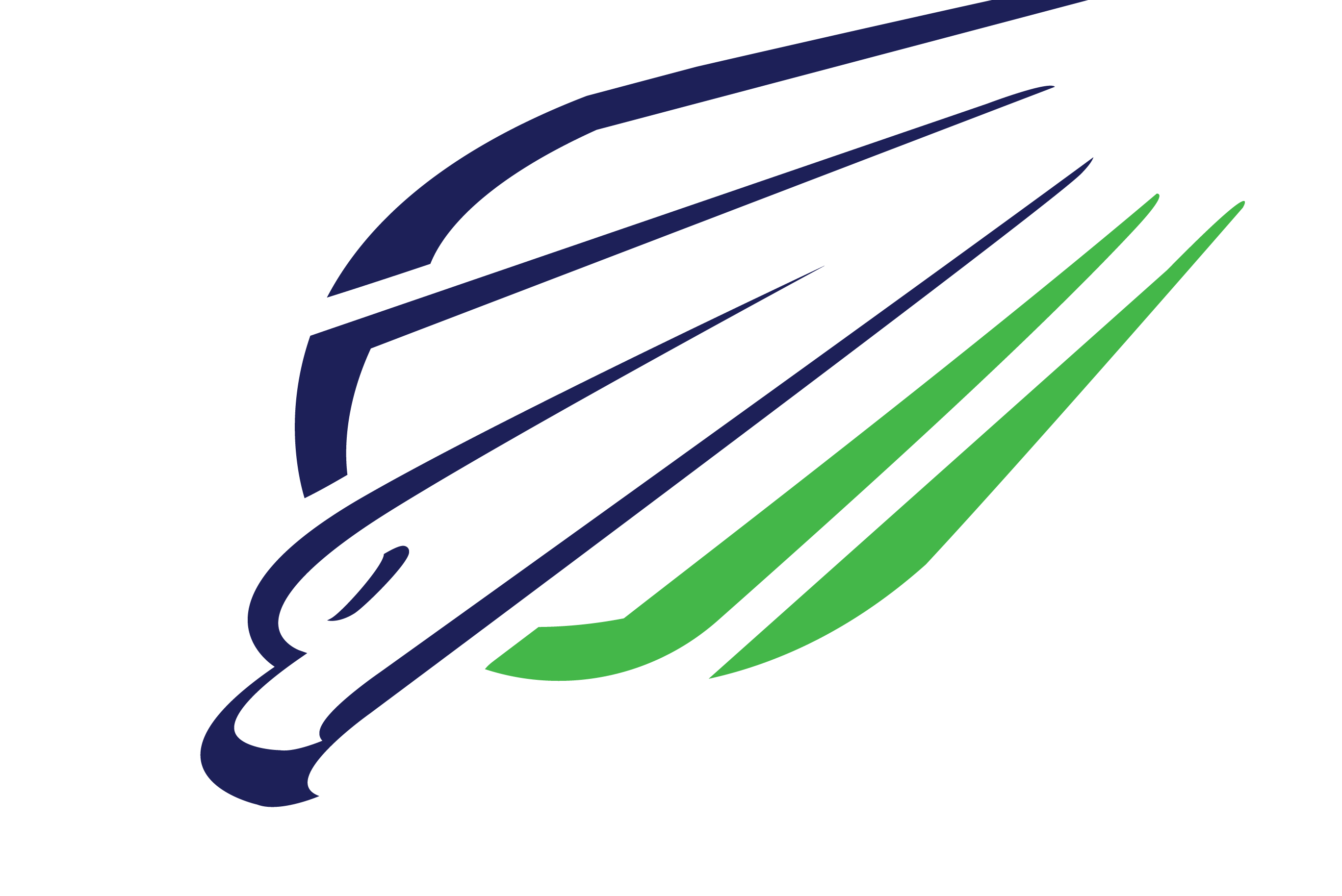 2736x1828 Sold Peregrine Falcon Logo Design Logo Cowboy