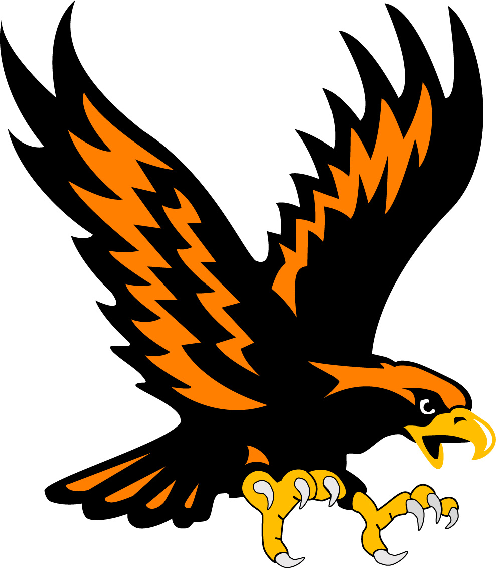 flying falcon logo