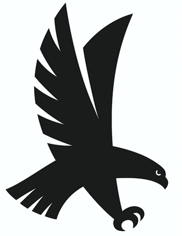 600x777 Falcon Clipart Png