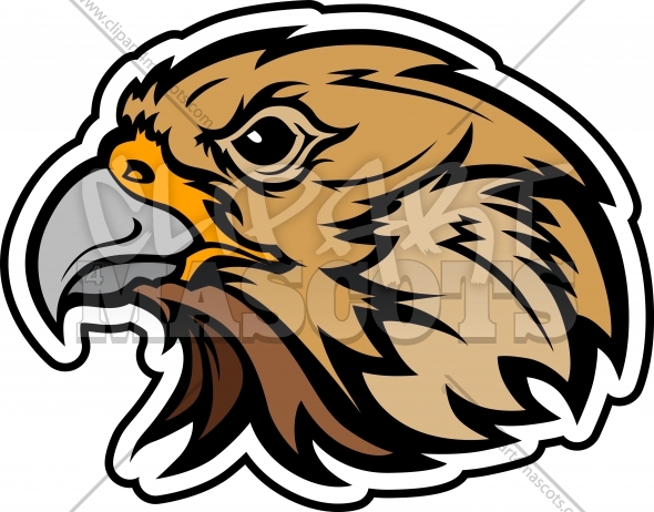590x462 Falcon Mascot Head Graphic Vector Cartoon