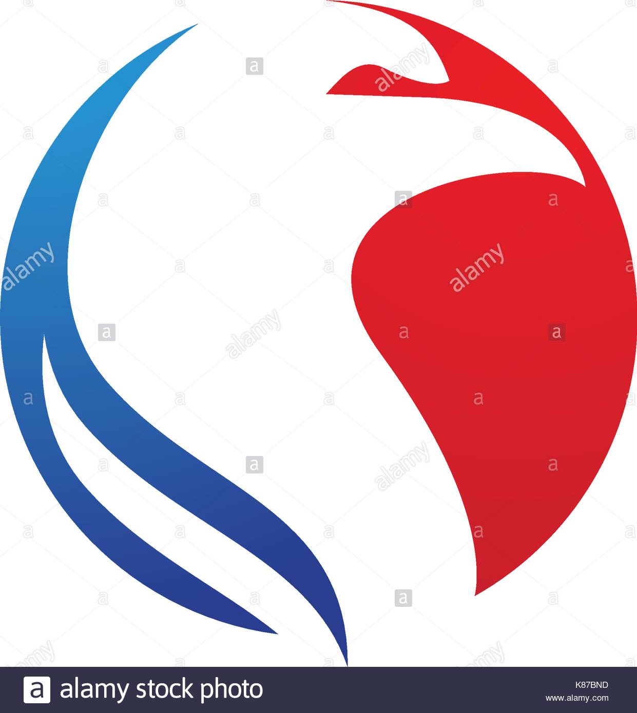 1241x1390 Falcon Vector Vectors Stock Photos Amp Falcon Vector Vectors Stock