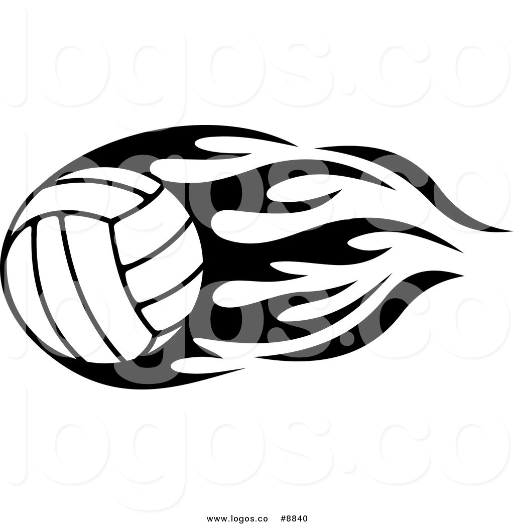 1024x1044 Falcon Clipart Volleyball