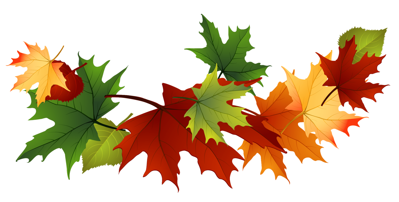 1328x672 Leaves Transparent Background Clipart Clipart Kid, Fall Leaf Clip
