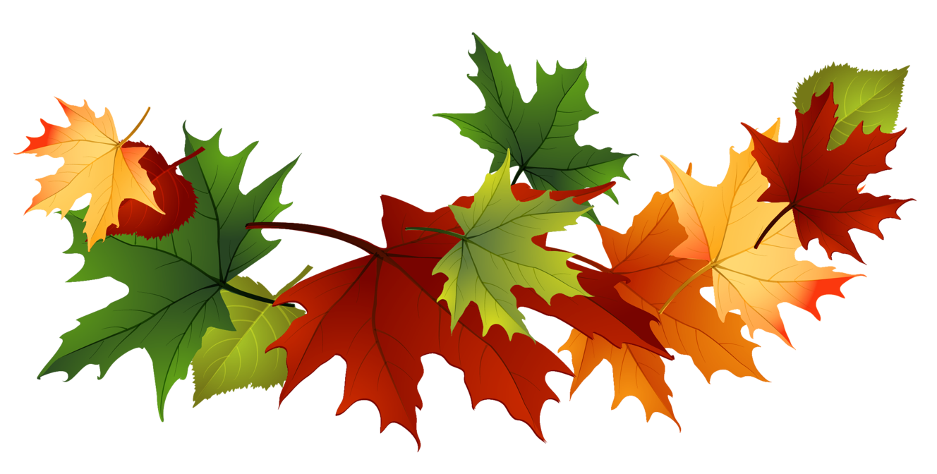 1328x672 Fall Leaf Clip Art