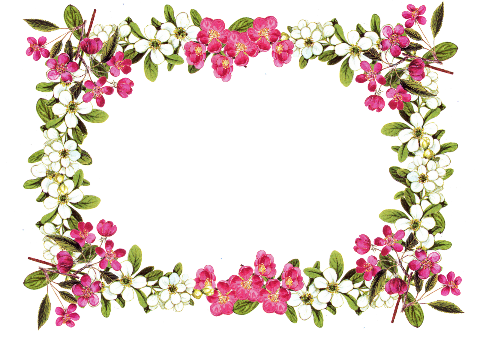 1600x1143 Free Printable Clip Art Borders Free Digital Flower Frame Png