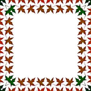 300x300 Free Stock Photos