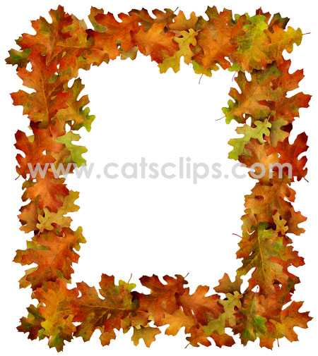 450x505 Colorful Fall Oak Leaves In A Rectangular Border. By Cat's Clips