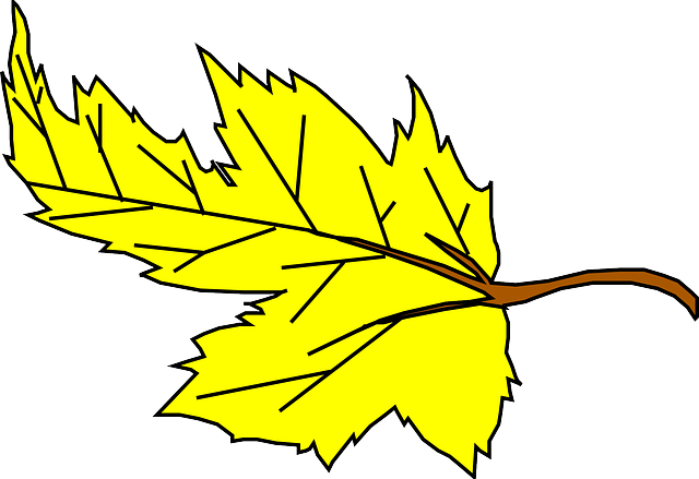 640x439 Falling Leaves Cartoon Clipart
