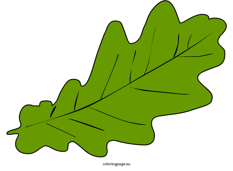 808x595 Top 88 Autumn Leaves Clip Art