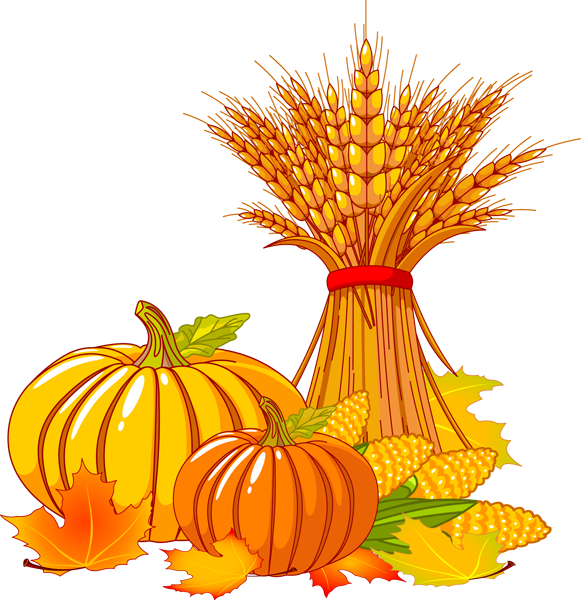 581x600 Pumpkin Wheat And Corn Clip Art Clipart