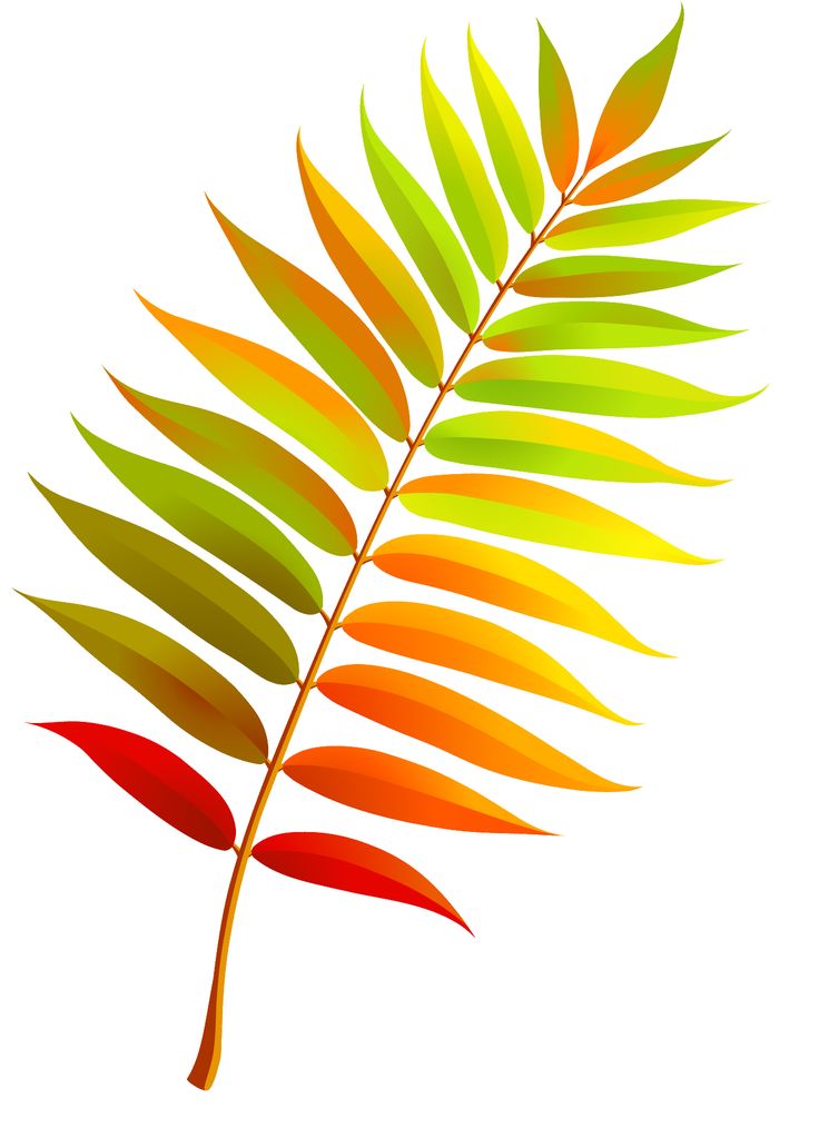 736x1014 66 Best Images Beautiful, Garden