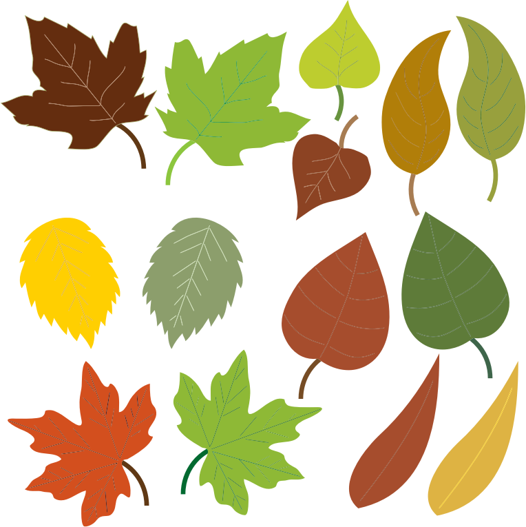 764x765 Leaves Clip Art
