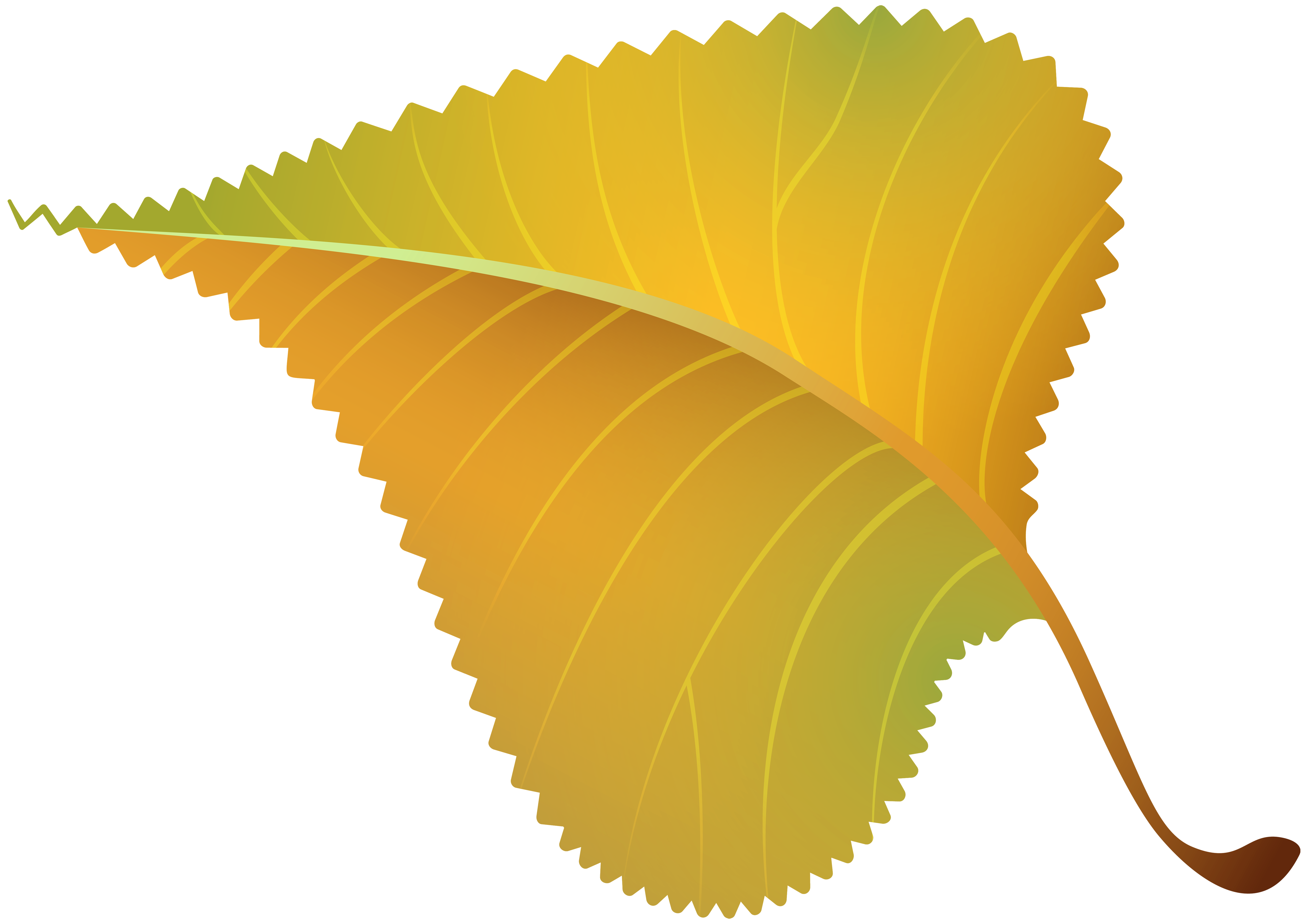 5000x3534 Yellow Leaf Clipart, Explore Pictures