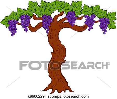 450x380 Clip Art Of Painted Grapes And Leaves On A Tree K9906229