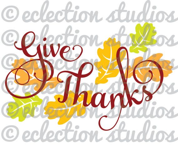 570x491 The Best Fall Leaves Png Ideas Fall Leaf Colors