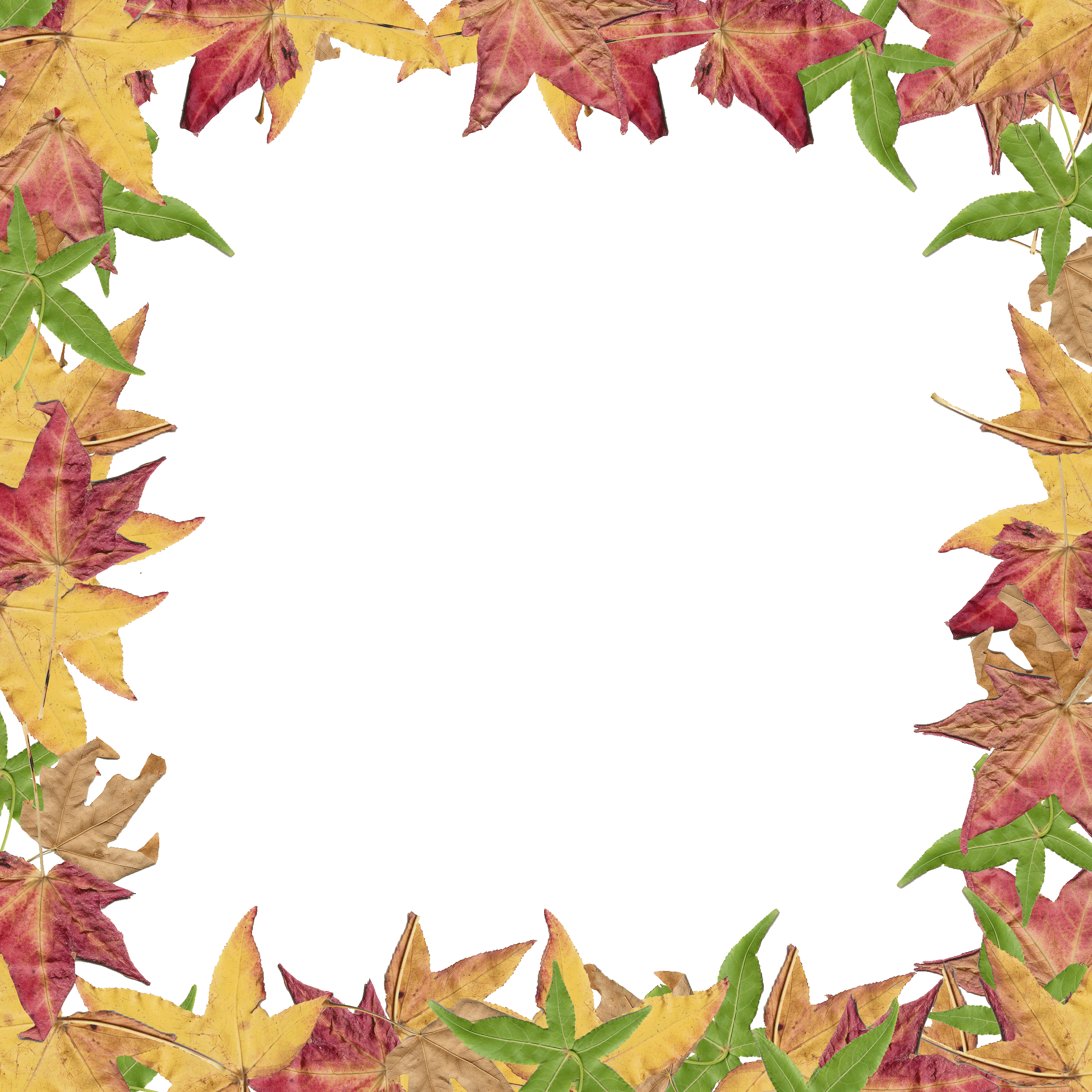 2400x2400 Fall Border Fall Leaves Border Clipart Free Clipart Images 5 Image