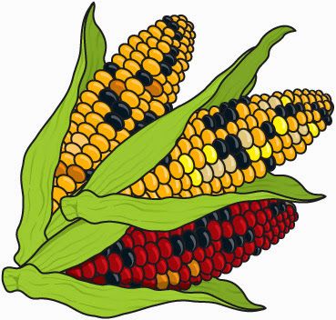 369x352 Falling Clipart Corn