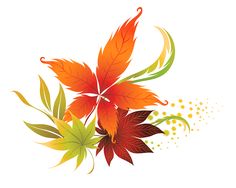 236x188 Transparent Fall Leaves Decor Picture Backgrounds, Borders