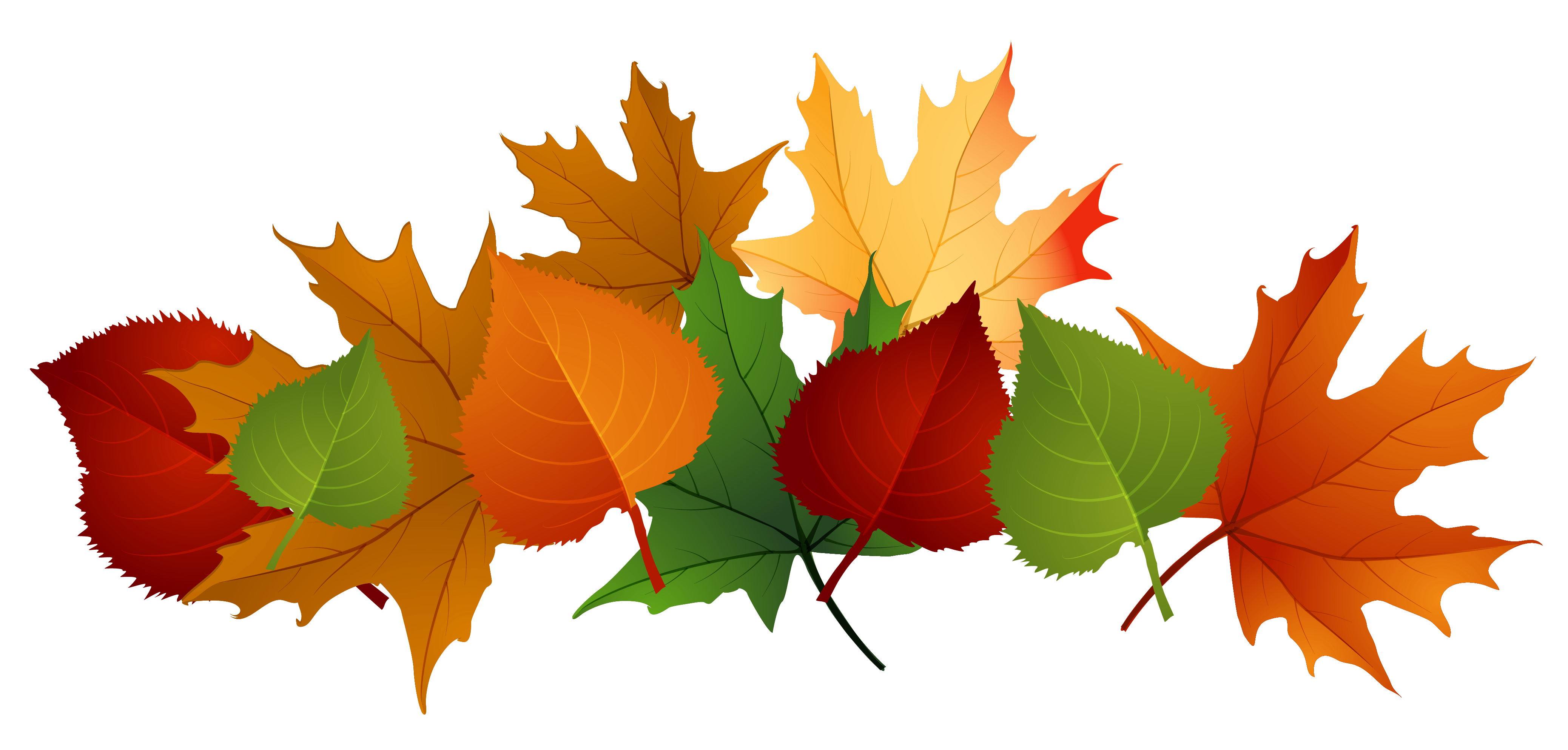 4153x1988 Fall Border Fall Leaf Border Clipart 2