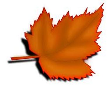 384x299 Thanksgiving Leaves Clipart
