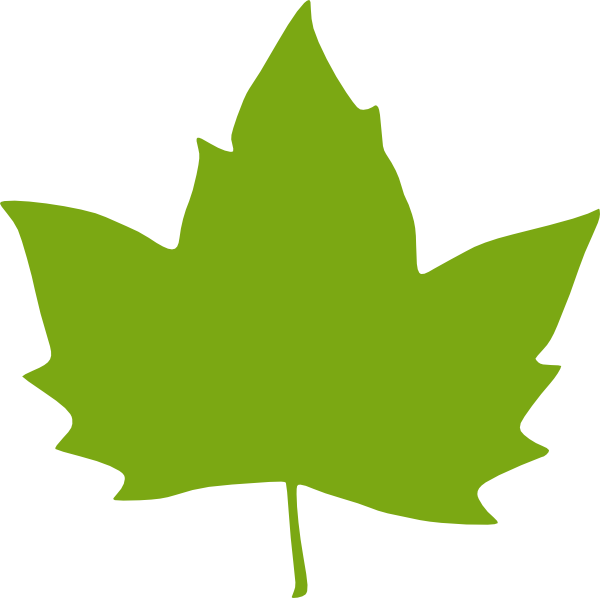 600x598 Maple Leaf Clip Art 6